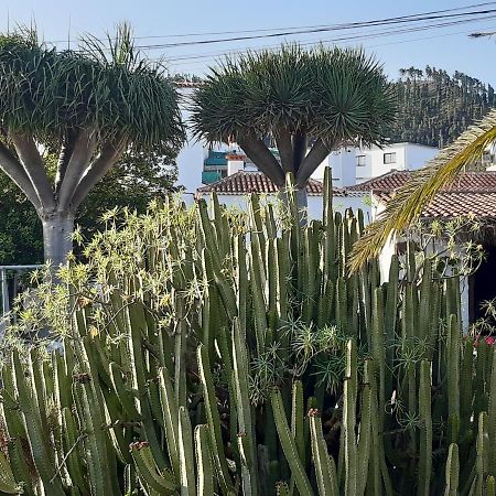 Casa Rural Los Dragos ฟูเอนกาลิเอนเต เด ลา ปาลมา ภายนอก รูปภาพ